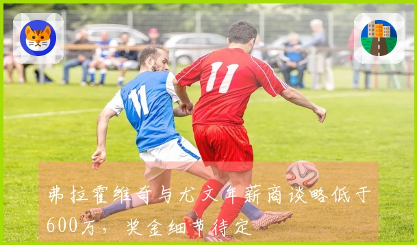 弗拉霍维奇与尤文年薪商谈略低于600万，奖金细节待定